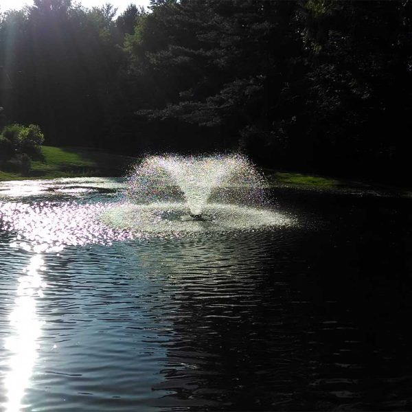 Scott Aerator DA-20 1/3 HP Decorative Pond Aerator - 115V or 230V - Image 6
