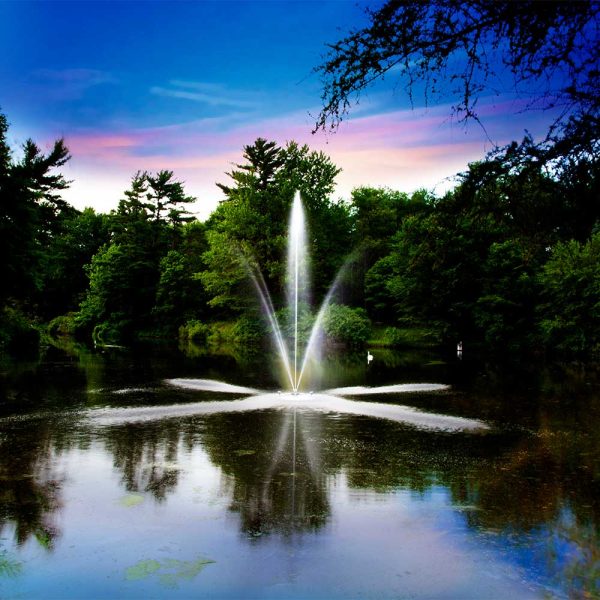 Clover 1/2 HP Pond Fountain
