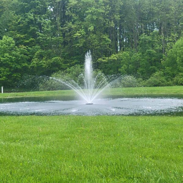 Vanguard 1 HP 550 Series Fountain, 5 Spray Patterns
