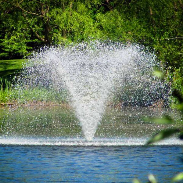 Scott Aerator North Star 2 HP Decorative Pond Aerator - 230V