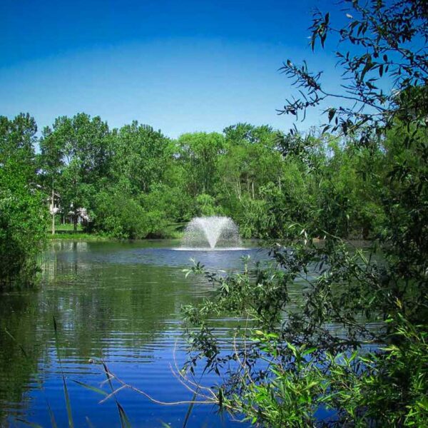 Scott Aerator North Star 1.5 HP Decorative Pond Aerator - 230V - Image 5