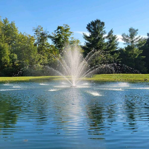 Vanguard 3 HP 1650 Series Fountain, 5 Spray Patterns