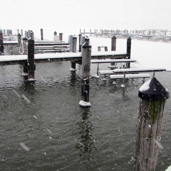 Scott Aerator Floating De-Icer - Image 2