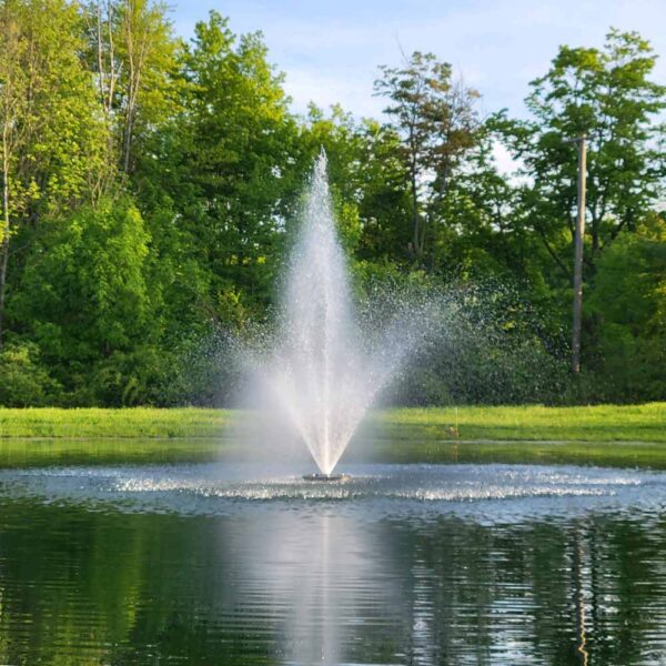 Vanguard 5 HP 2750 Series Fountain, 5 Spray Patterns