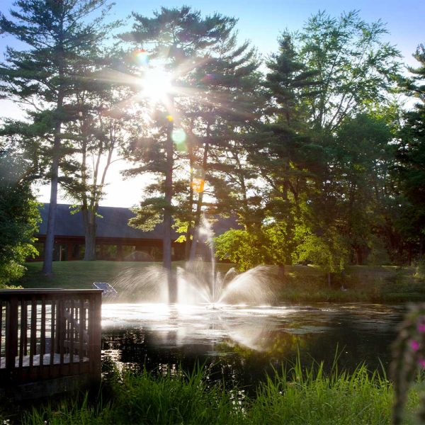 Skyward 1/2 HP Pond Fountain