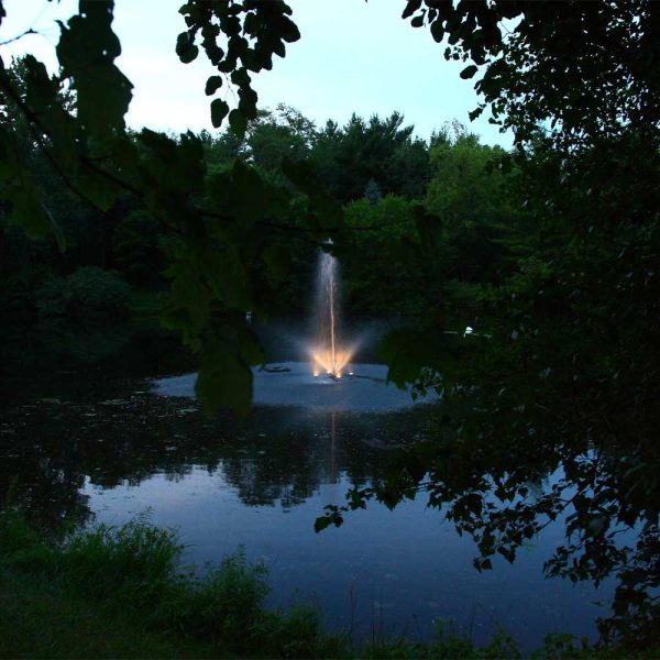 Skyward 1/2 HP Pond Fountain - Image 2