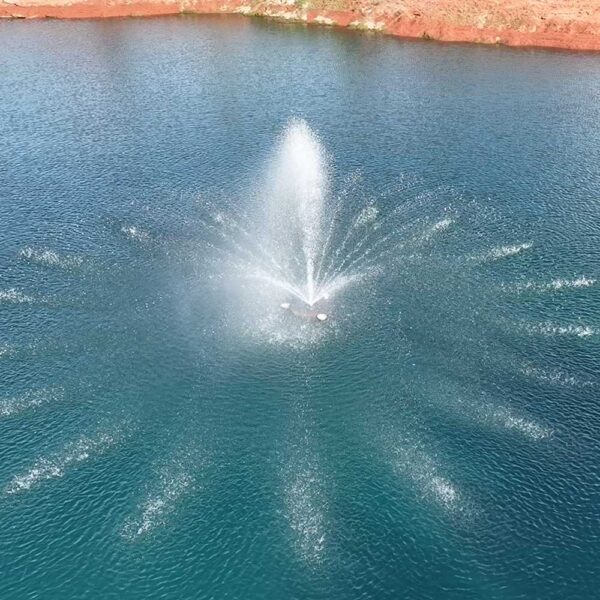 PondSelect E-Series 1/2 HP Floating Fountain, 4 Spray Patterns - 115V or 230V