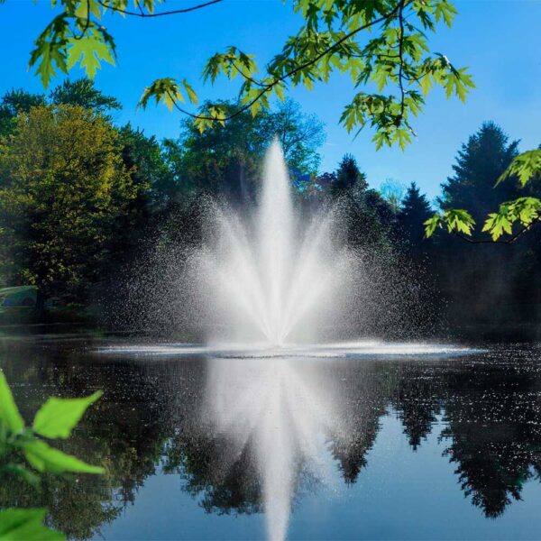 Triad 1.5 HP Pond Fountain - Image 4
