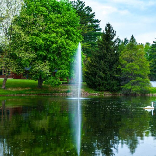Triad 1.5 HP Pond Fountain - Image 3
