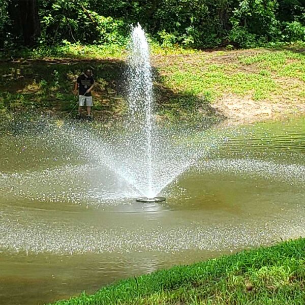Vanguard 1/2 HP 275 Series Fountain, 5 Spray Patterns - Image 2