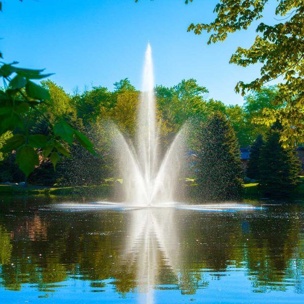 Atriarch 1.5 HP Lake Fountain - Image 3