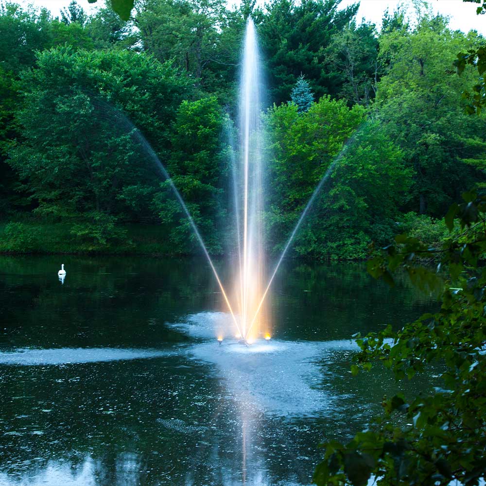 Clover 1 HP Fountain - Image 2