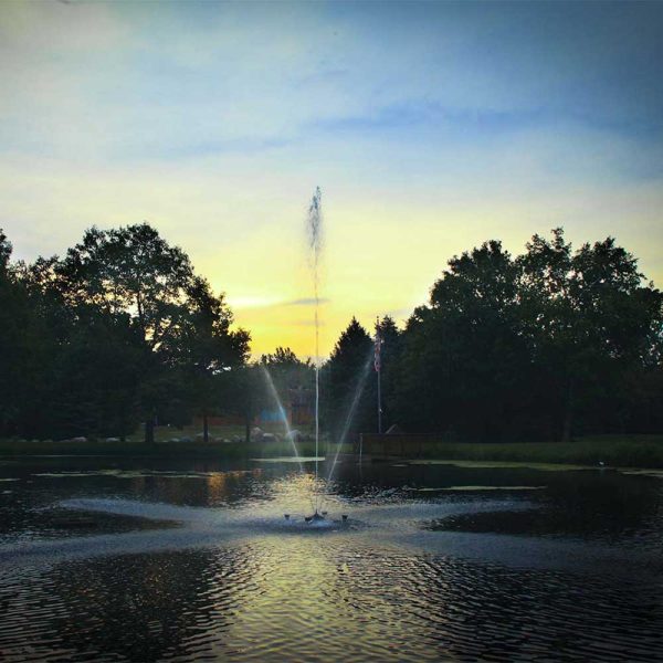Clover 1 HP Fountain - Image 3