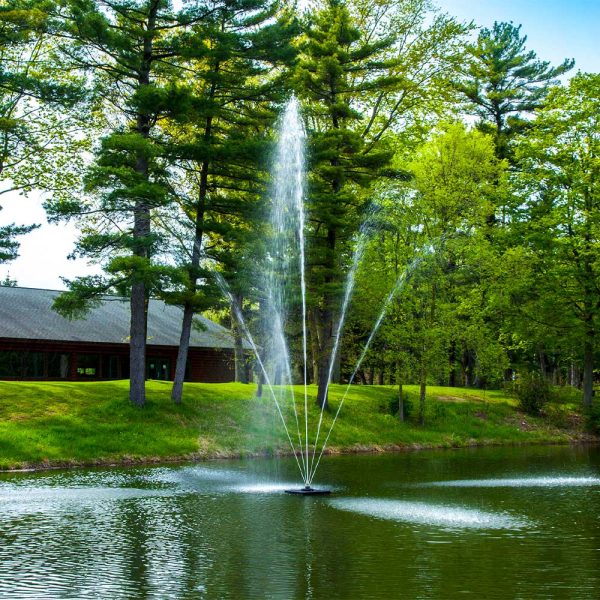 Clover 1 HP Fountain