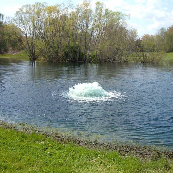 Kasco 2400AF 1/2 HP Surface Aerator 115V