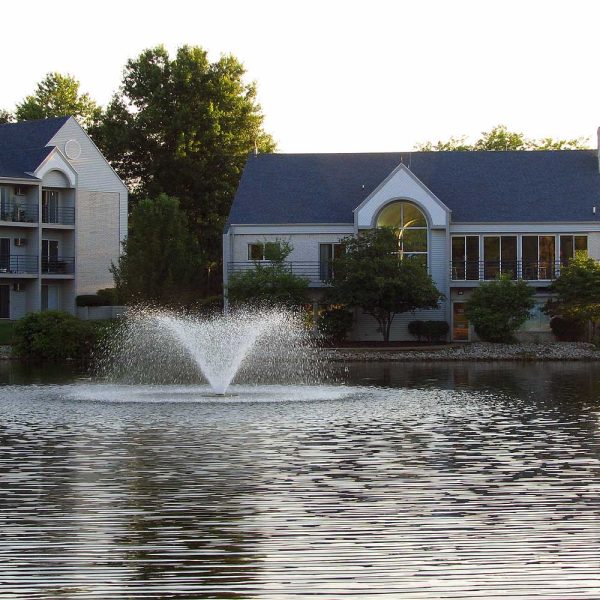 Scott Aerator DA-20 2 HP Decorative Pond Aerator - 230V - Image 4