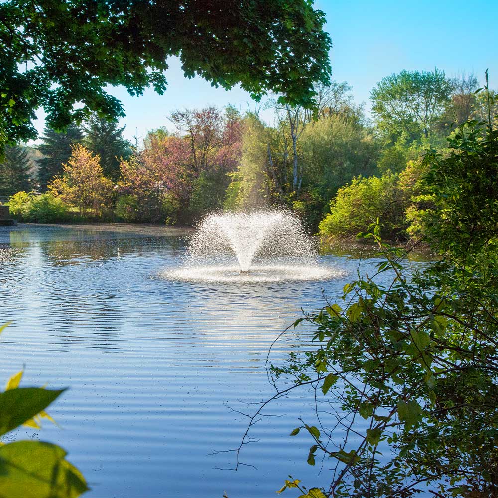 Scott Aerator DA-20 1/2 HP Decorative Pond Aerator - 115V or 230V - Image 2