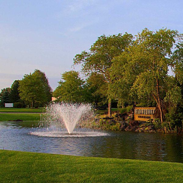 Scott Aerator DA-20 1.5 HP Decorative Pond Aerator - 230V - Image 5