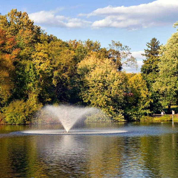 Scott Aerator DA-20 2 HP Decorative Pond Aerator - 230V - Image 5
