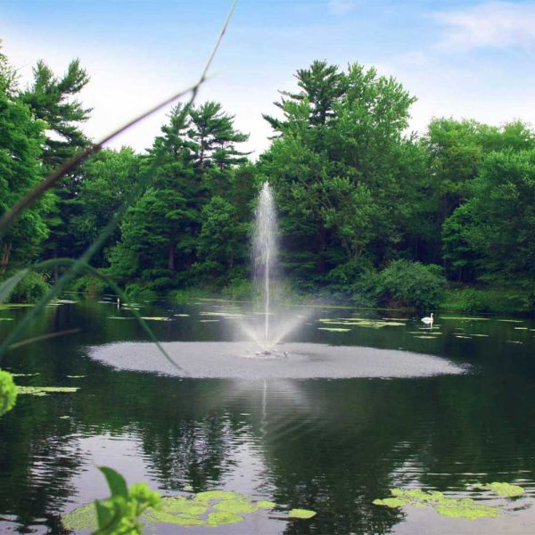 Skyward 1 HP Fountain