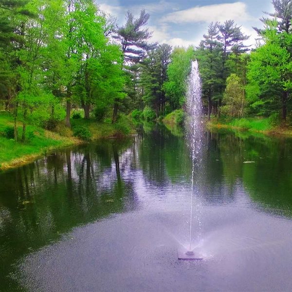 Skyward 1 HP Fountain - Image 3
