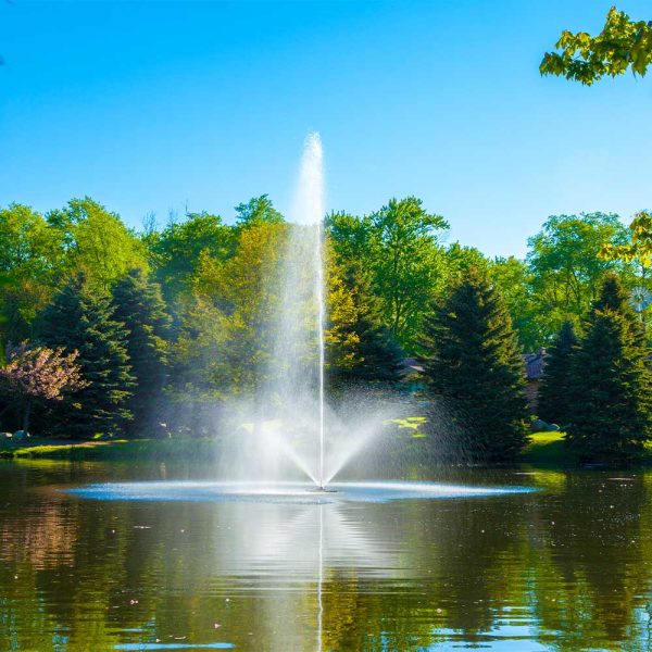 Skyward 1.5 HP Pond Fountain