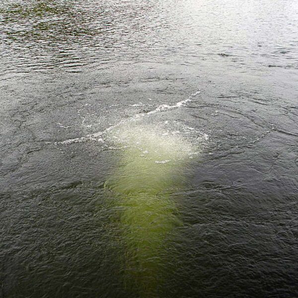 Bubble Pro Max Sub-Surface Aerator - Image 3