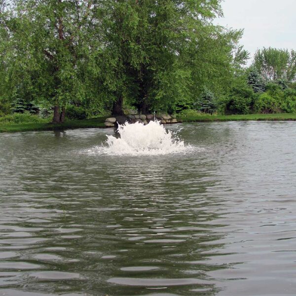 Scott Aerator Boilermaker 1.5 HP Surface Aerator - Image 3