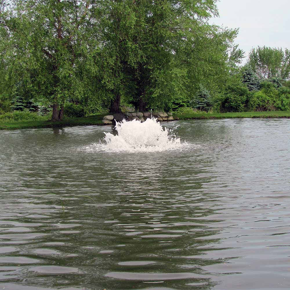 Scott Aerator Boilermaker 1.5 HP Surface Aerator - Image 3