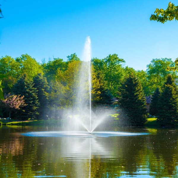 Triad 1.5 HP Pond Fountain - Image 2