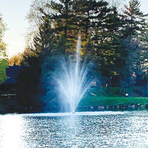 Amherst 1 HP Pond Fountain - Image 5