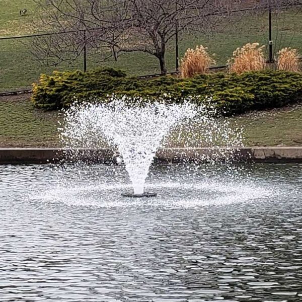 Vanguard 3/4 HP Typhoon Floating Aerator - 115V or 230V - Image 2