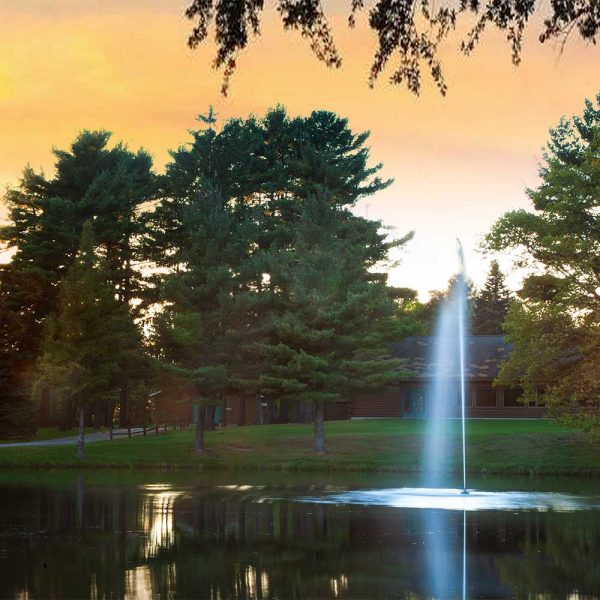 Gusher 1 HP Pond Fountain - Image 6