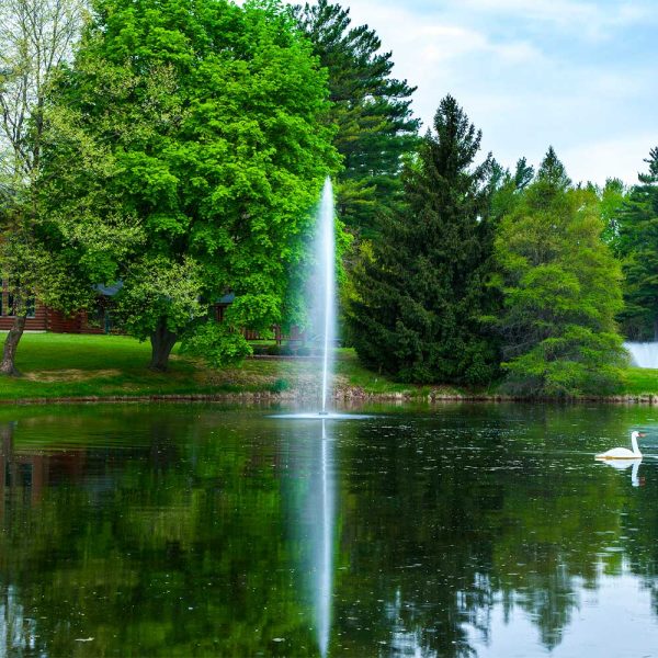 Gusher 1 HP Pond Fountain - Image 4