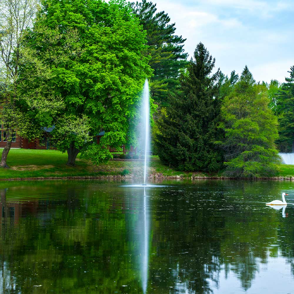 Gusher 1 HP Pond Fountain - Image 4