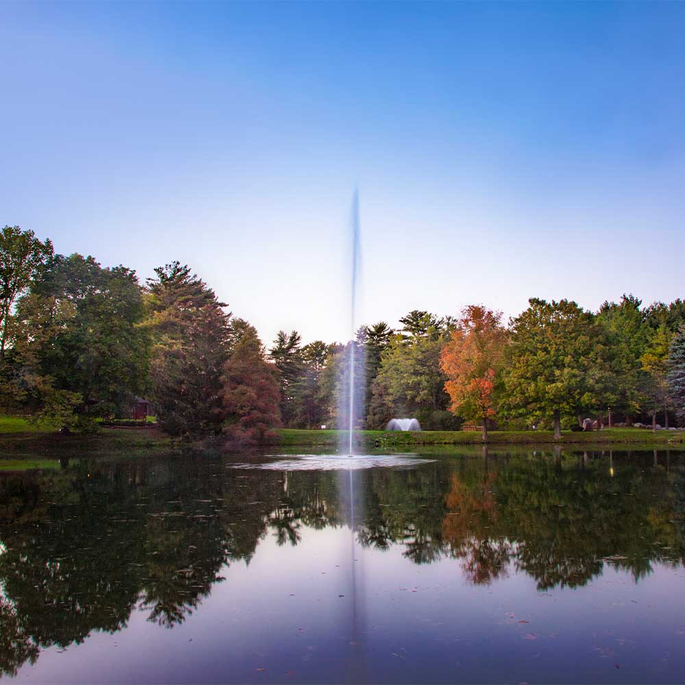 Gusher 1 HP Pond Fountain - Image 3