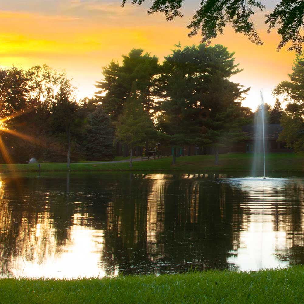 Gusher 1 HP Pond Fountain - Image 2