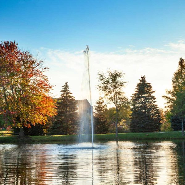 Gusher 3 HP Lake Fountain - Image 2