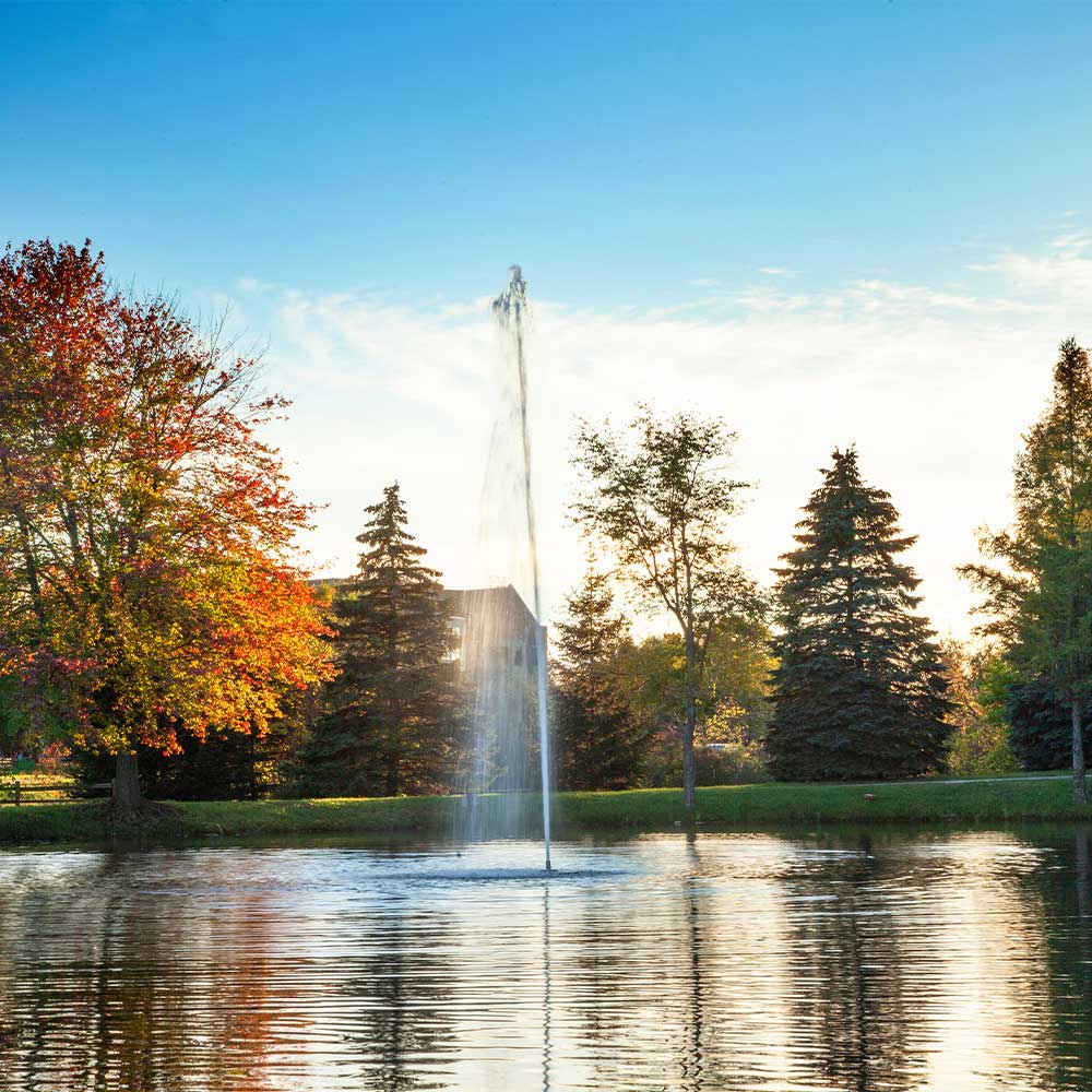 Gusher 3 HP Lake Fountain - Image 2