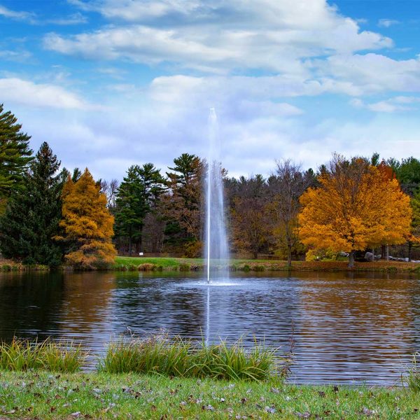 Gusher 3 HP Lake Fountain - Image 3