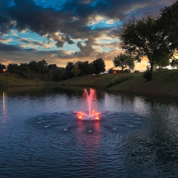 PondSelect 1/3 HP Small Pond Fountain, 5 Spray Patterns