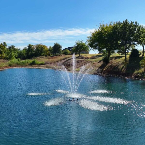 PondSelect Stainless Steel 1/2 HP Pro Series Lake Fountain, 5 Spray Patterns - Image 4