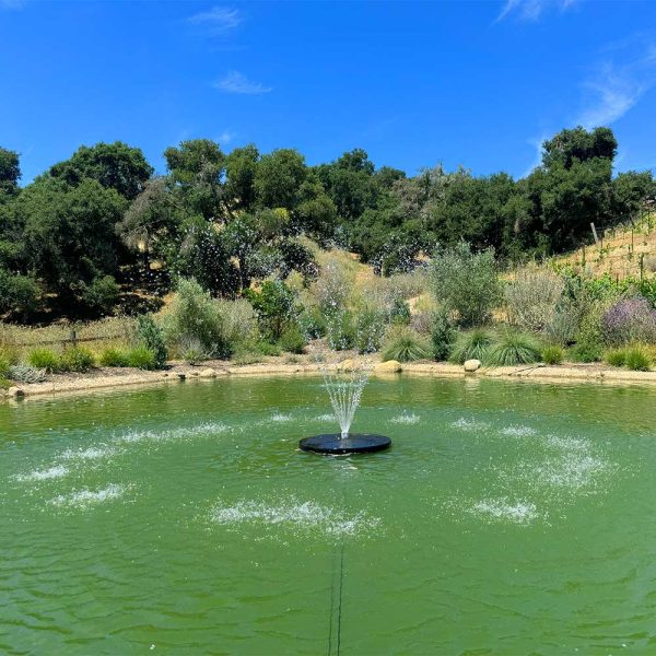 PondSelect 1/3 HP Small Pond Fountain, 5 Spray Patterns - Image 5