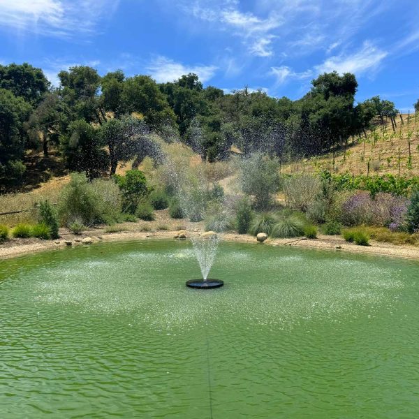 PondSelect Classic Series 1/2 HP Pond Fountain, 5 Spray Patterns - Image 5