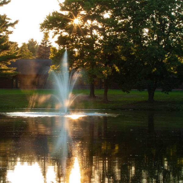 Amherst 1.5 HP Pond Fountain - Image 2