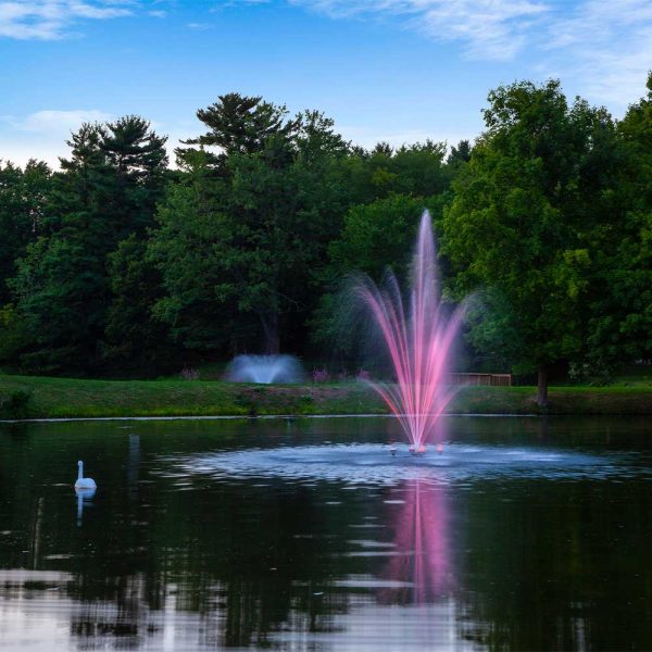 Amherst 1.5 HP Pond Fountain - Image 3