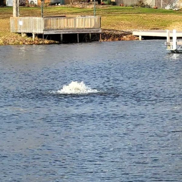 Vanguard 3/4 HP Pond-Spa Surface Aerator - 115V or 230V