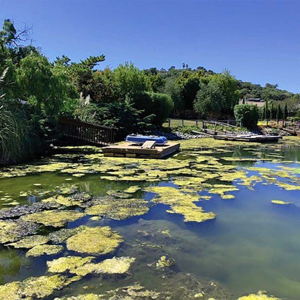 Kasco AquatiClear - Image 6