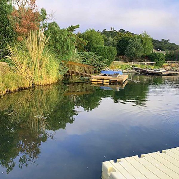 Kasco AquatiClear - Image 7